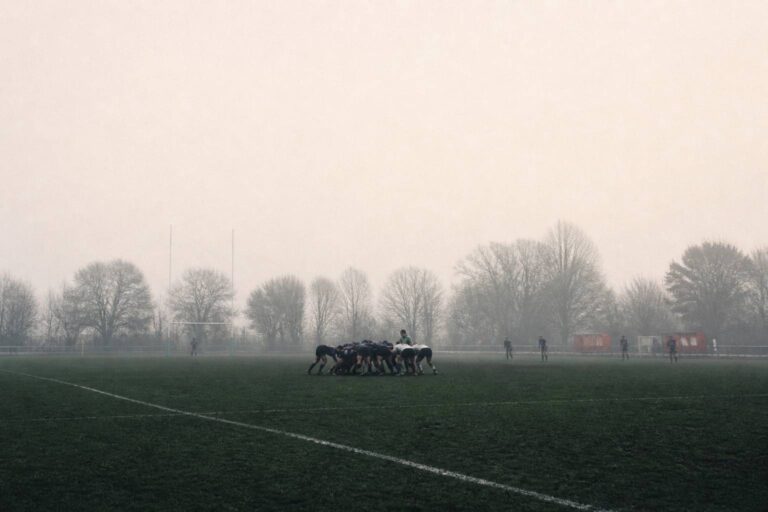 Rugby féminin : catégories et compétitions en France